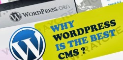 All About WordPress Content Management System