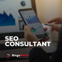 Transforming Your Business with SEO Consulting Services