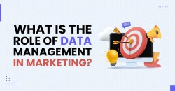What is Roll of Data Management in Marketing?