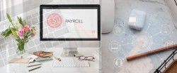 When to Optimise Your Global Payroll Strategy