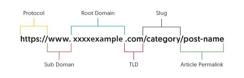 rank your website fast